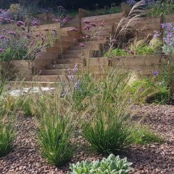 Flora Design - Garden Design -Gravel Courtyard Garden - Twyford, Hereford